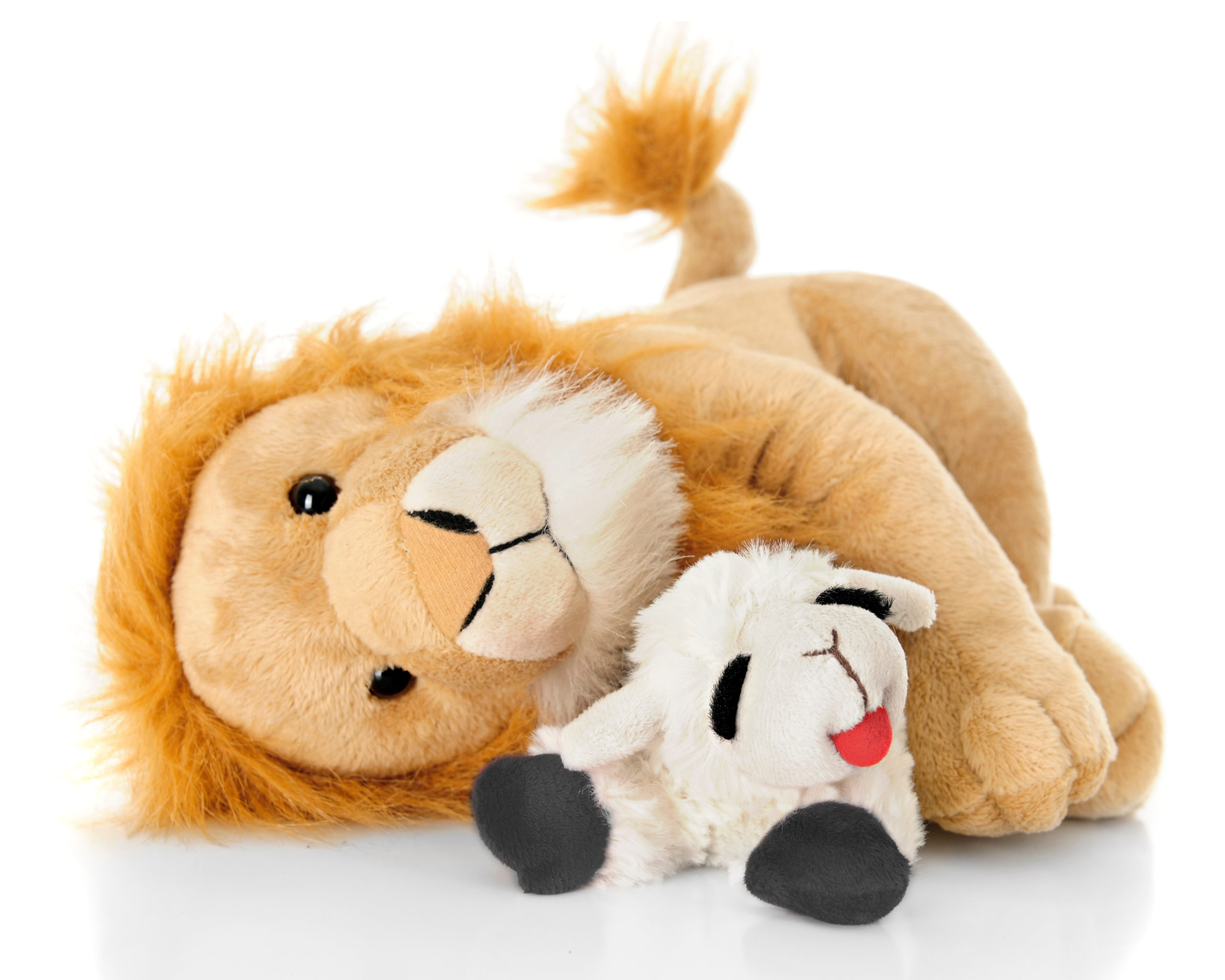 A toy lamb and lion peacefully laying down together. On a white background.