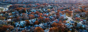 Toronto - aerial view of treed neighbourhood. Saturated colours with desaturated background.